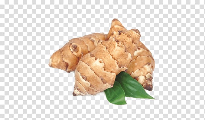 Jerusalem artichoke Inulin Food Carbohydrate, jerusalemartichokes transparent background PNG clipart