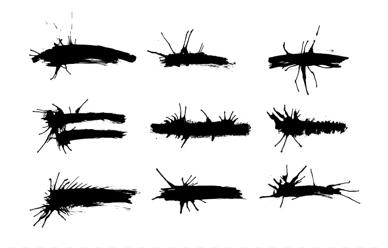 Brush Black and white Insect, brush stroke transparent background PNG clipart