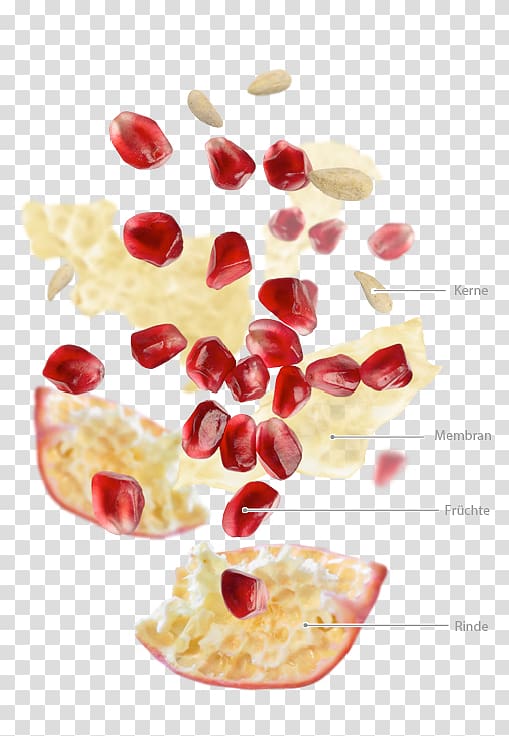 Cranberry Superfood, ZUMO transparent background PNG clipart