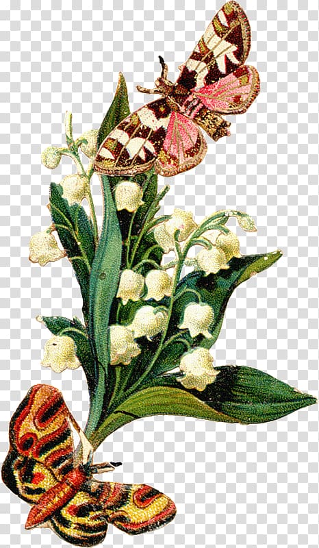 Portable Network Graphics GIF JPEG Butterflies and moths, lily of the valley icon transparent background PNG clipart
