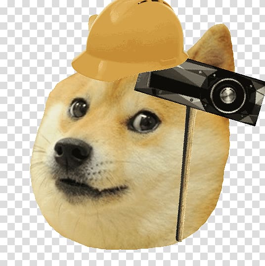 Shiba Inu Doge Snake Test Game Meme, others transparent background PNG clipart