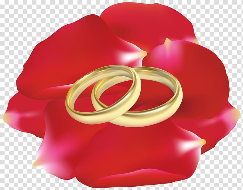 Gold Wedding Rings PNG Images & PSDs for Download | PixelSquid - S11664013E