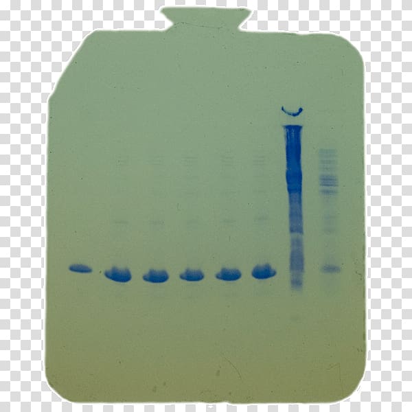 Adobe Acrobat Biomolecular Science and Engineering Program, UC Santa Barbara PDF Adobe Systems Computer Icons, spin column dna extraction transparent background PNG clipart