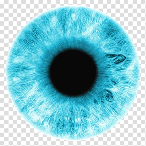 Iris Eye color Blue, Eye transparent background PNG clipart