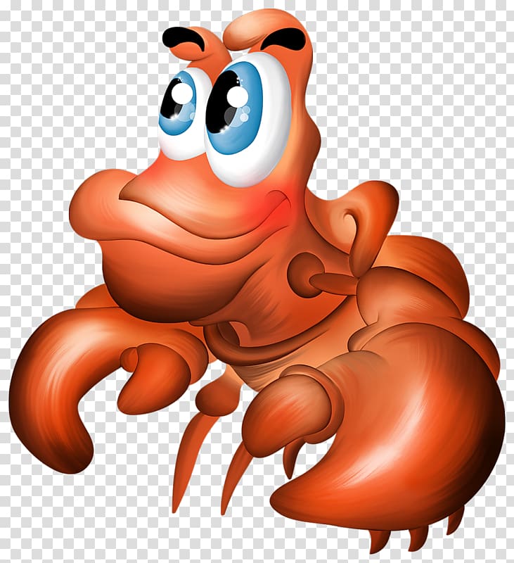 Decapoda Hermit crab , crab transparent background PNG clipart