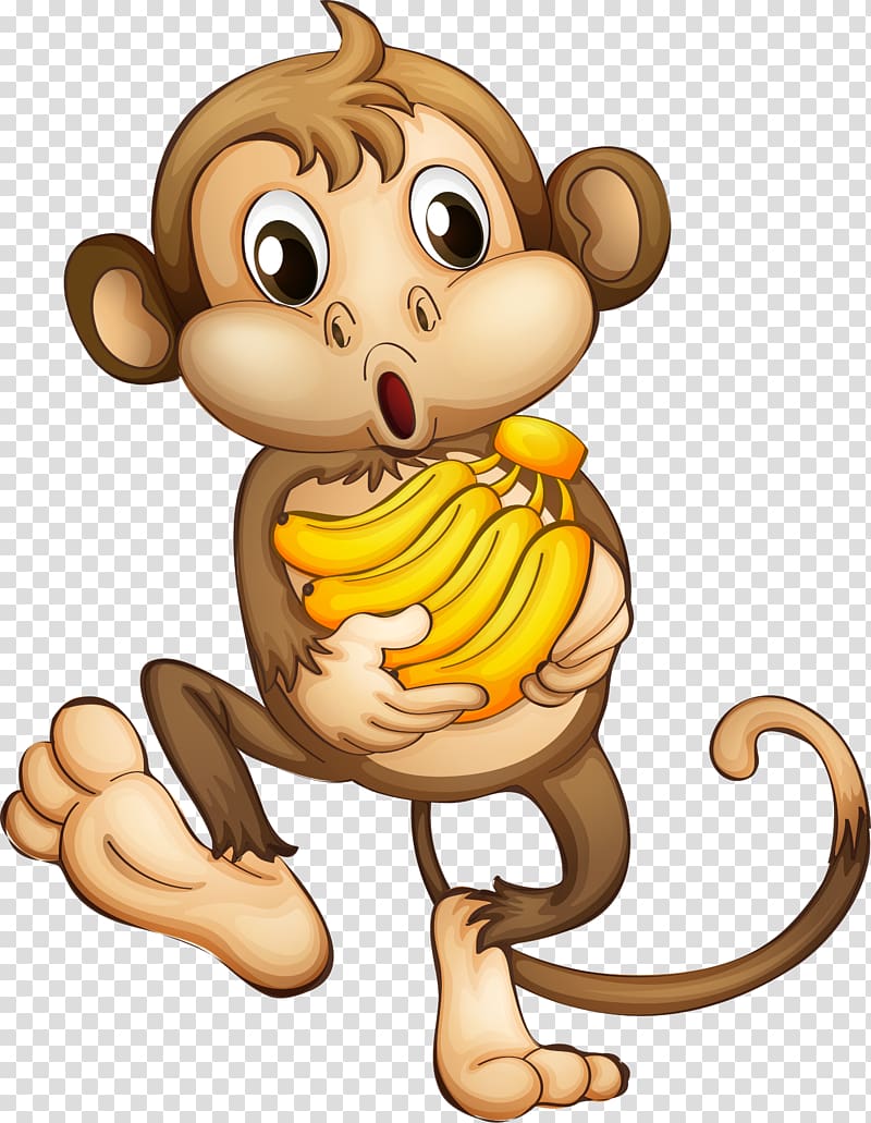 Photo - Macaco Safari - Free Transparent PNG Clipart Images Download