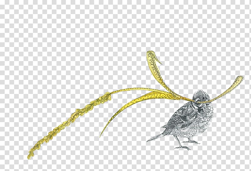 Sparrow Drawing Illustration, Hand drawn sparrow transparent background PNG clipart
