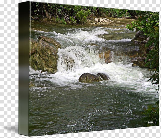 Waterfall Water resources Nature reserve Stream Watercourse, park transparent background PNG clipart