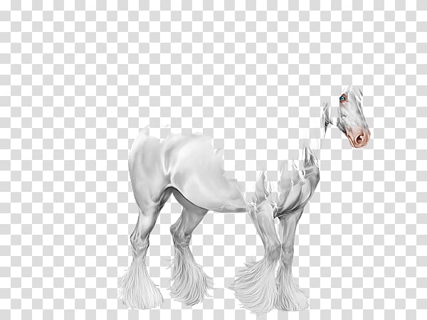 Foal Mare Stallion Mustang Colt, Gypsy Horse transparent background PNG clipart