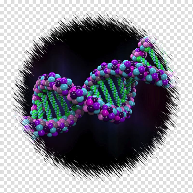 Human Genome Project Genetics, Genomics transparent background PNG clipart