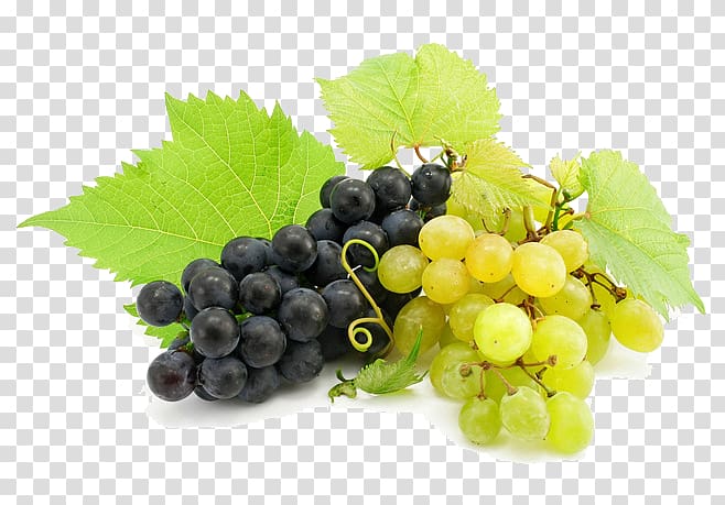 Cabernet Sauvignon Maryland wine Berry Grape, grape transparent background PNG clipart