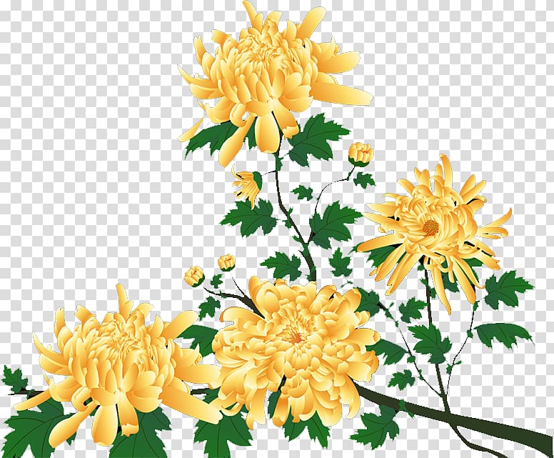 Dahlia Chrysanthemum Floral design Cut flowers, chrysanthemum transparent background PNG clipart