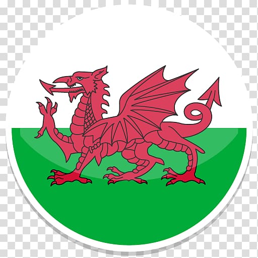 Flag of Wales T-shirt Welsh Dragon, Commercial use transparent background PNG clipart