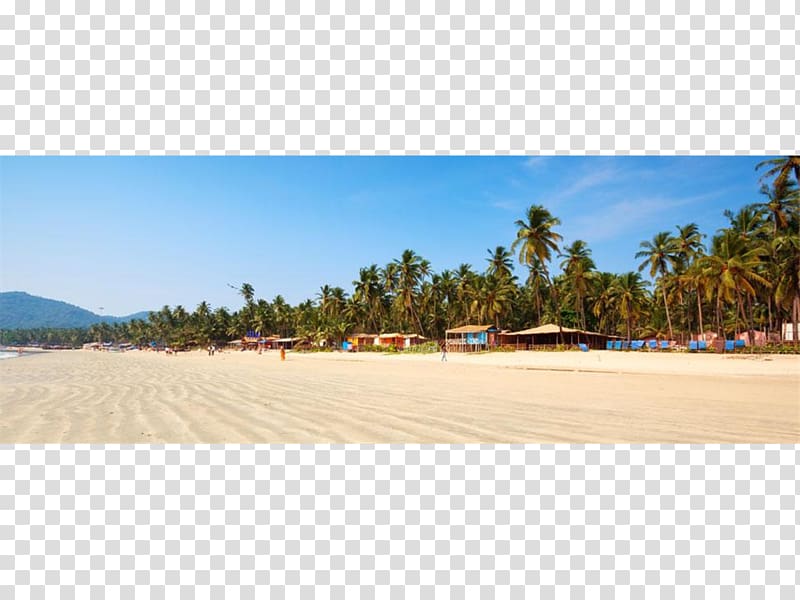 Palolem Beach Candolim Anjuna Benaulim Beach Royal Goan Beach Club, BEACH GOA transparent background PNG clipart