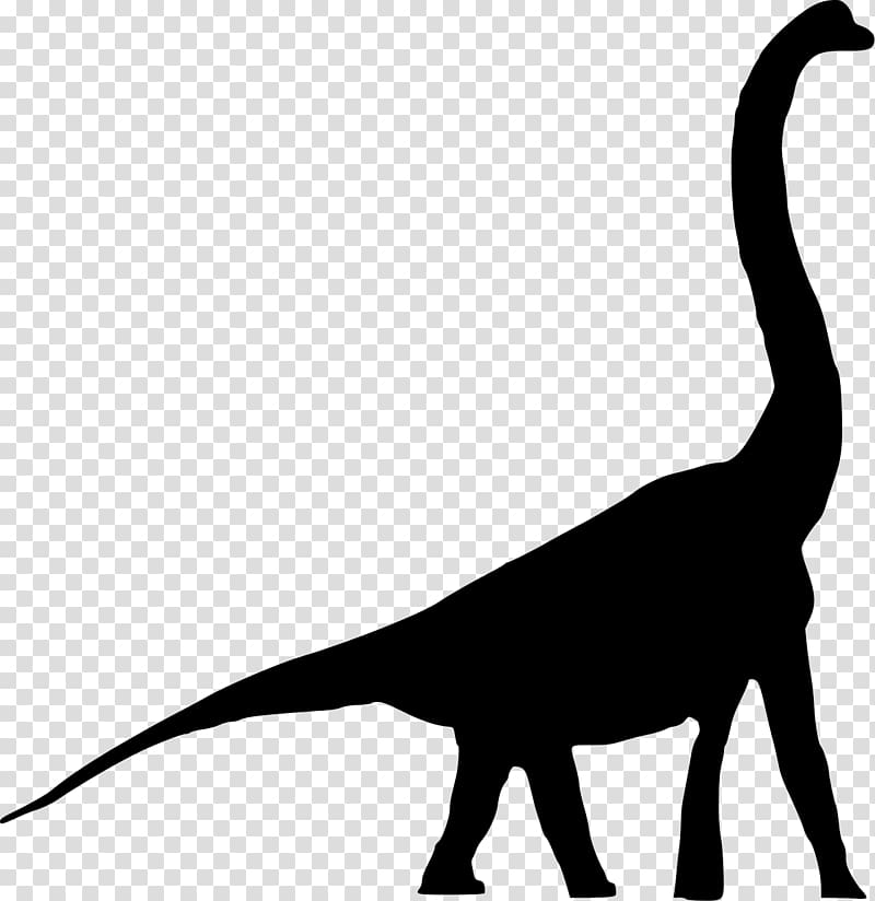 Daanosaurus Tyrannosaurus Brachiosaurus Sauropoda Bellusaurus, animals dinosaur transparent background PNG clipart