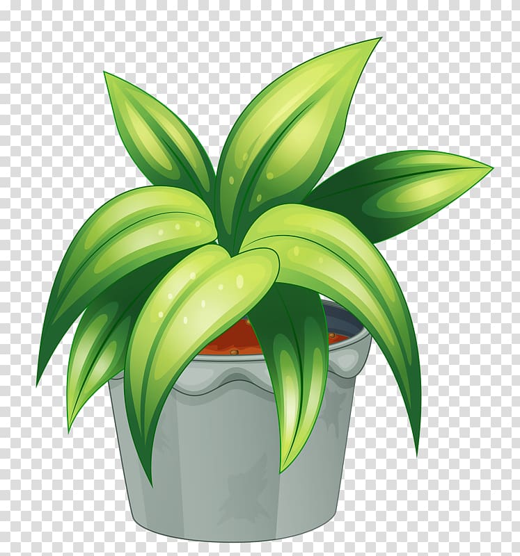 potted plant clip art png