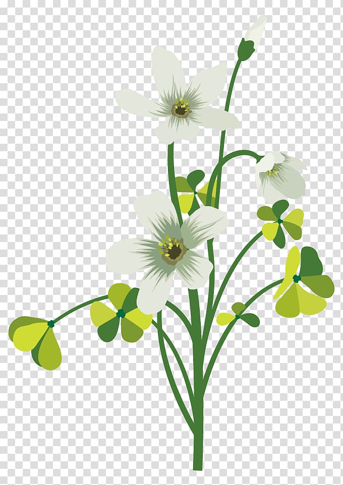 Flower Drawing Four-leaf clover, green clover petal white decoration transparent background PNG clipart