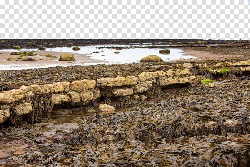 Robin Hoods Bay Whitby, UK Whitby Robin Hood\'s Bay Beach two transparent background PNG clipart