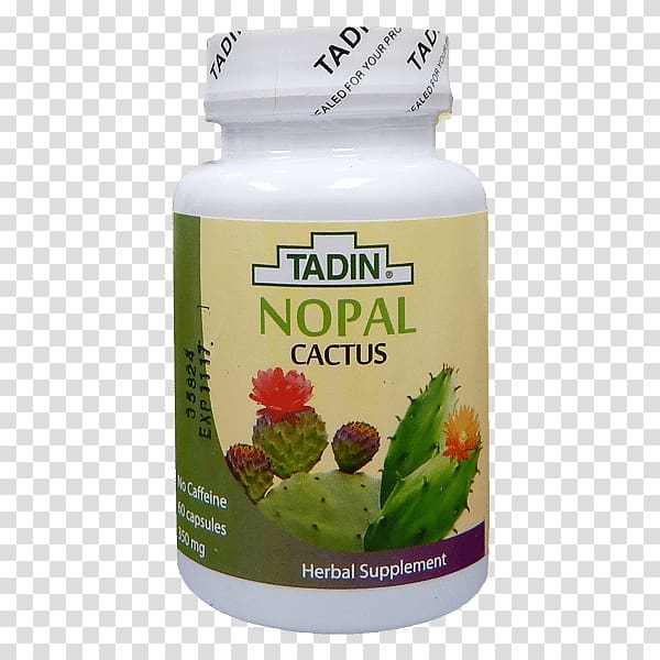 Herbal tea Nopal Tadin Herb & Tea Co., tea transparent background PNG clipart