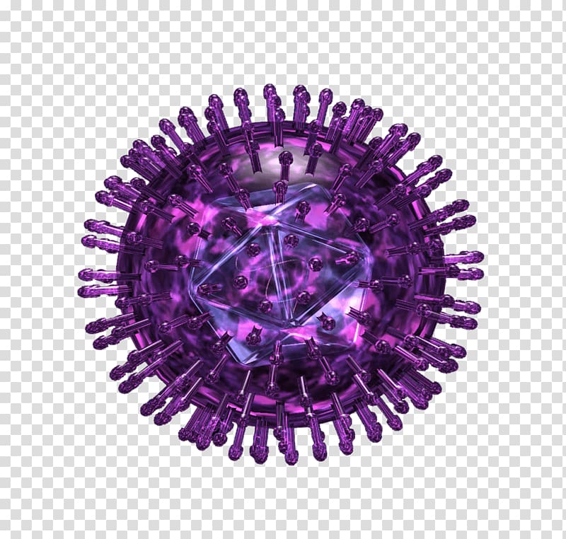 Herpes simplex virus Herpes labialis Herpesviruses, infection transmission transparent background PNG clipart