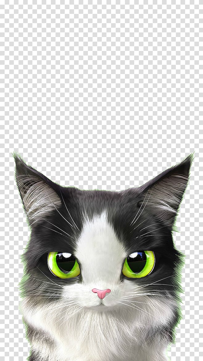 Cat Kitten Mouse Cuteness Gift, Green-eyed cat transparent background PNG clipart