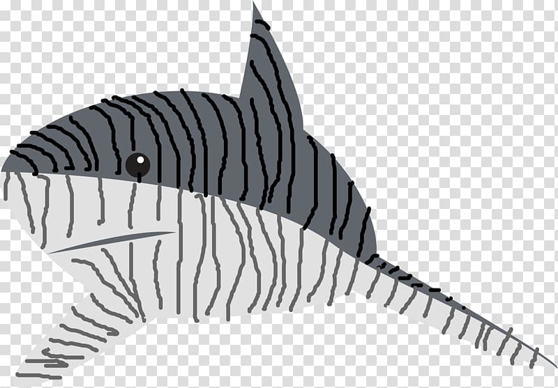 Tiger shark Tiger shark , sea buckthorn transparent background PNG clipart