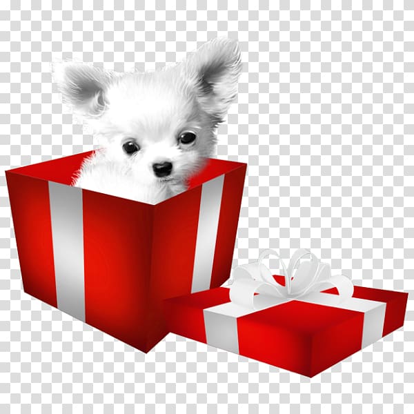 Chihuahua Bulldog Beagle Dogo Argentino Puppy, The puppy in the box transparent background PNG clipart