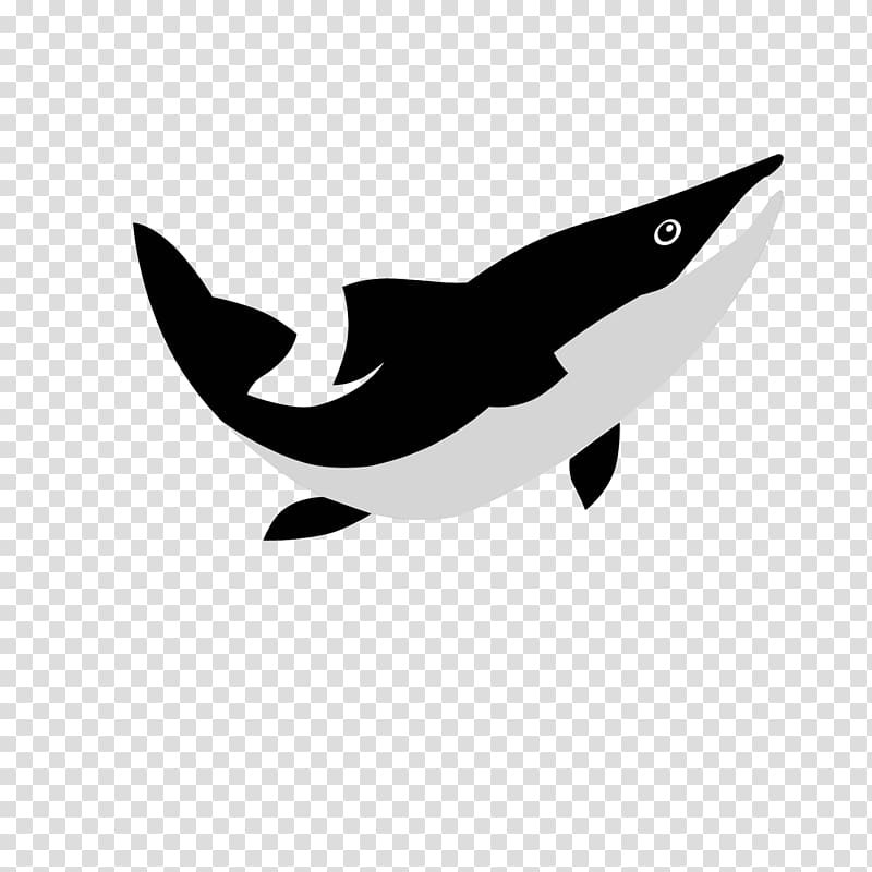Dolphin Porpoise Cetacea White , dolphin transparent background PNG clipart