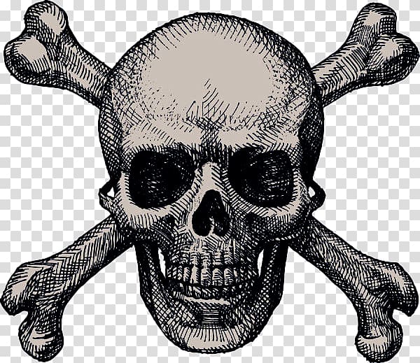 black textured skull and crossbones flag drugs transparent background PNG clipart