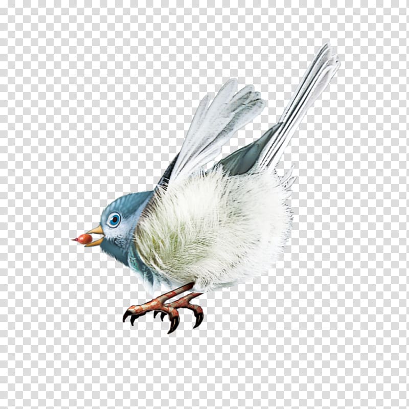 Bird Gongbi , Birds transparent background PNG clipart