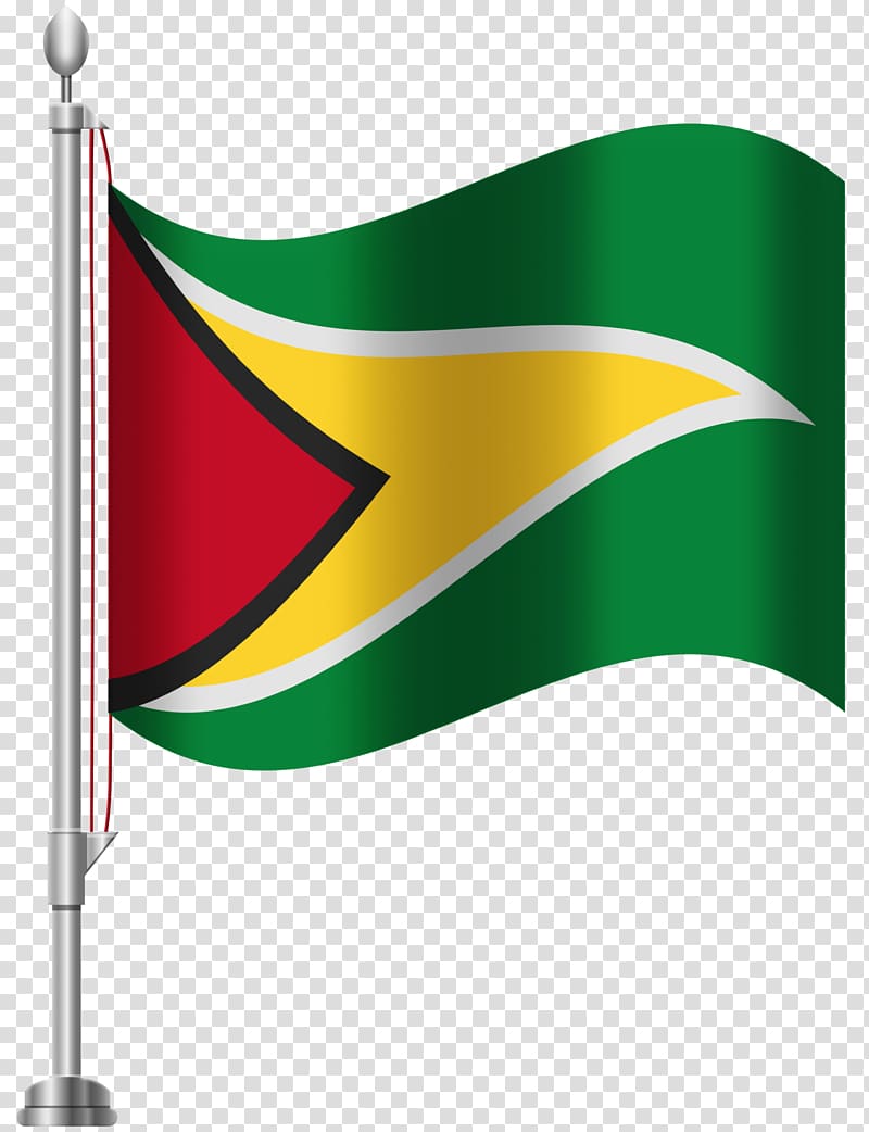 Flag of Guyana Flag of the United States , Flag transparent background PNG clipart