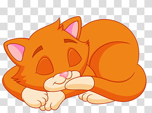 Cartoon Cat png download - 800*480 - Free Transparent Ultimate