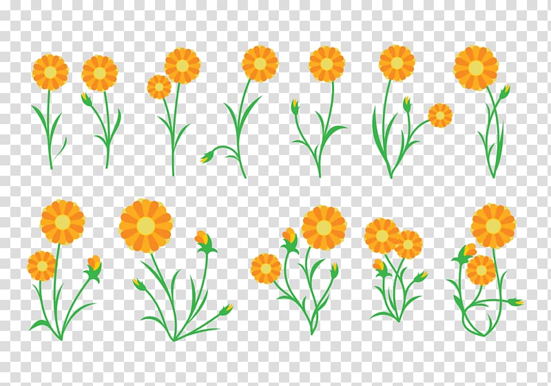 Calendula officinalis Plant Cut flowers, plant transparent background PNG clipart