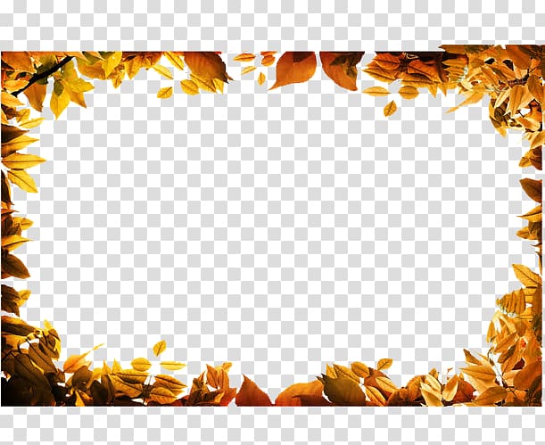 Autumn leaf color Autumn leaf color , Gold leaf frame video transparent background PNG clipart