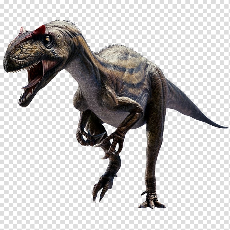 brown and black dinosaur, Allosaurus Tyrannosaurus Velociraptor 3D dinosaur VR, Blue stripe growling dinosaur transparent background PNG clipart