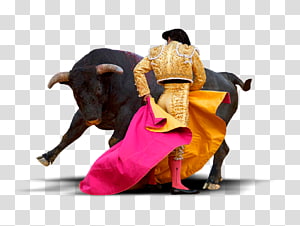 mexican bull fighting clipart images