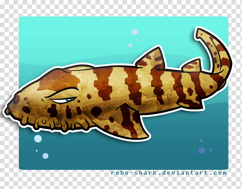 Tasselled wobbegong Spotted wobbegong Bull shark Drawing Ornate wobbegong, others transparent background PNG clipart