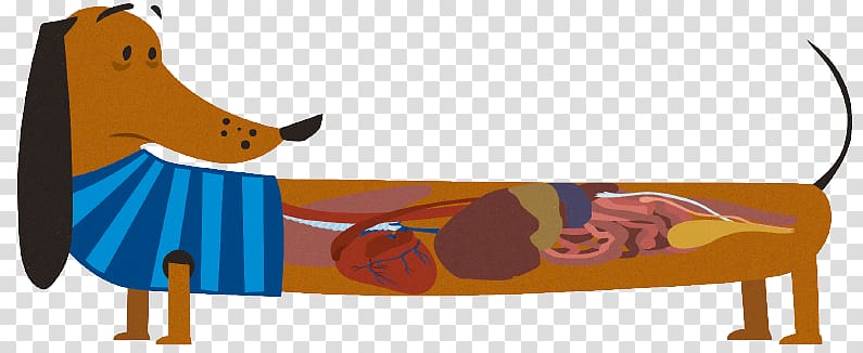 Dog Heartworm Hookworm infection Parasitism, party dog transparent background PNG clipart