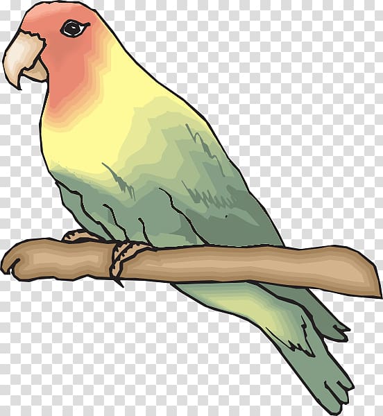 Rosy-faced lovebird Parrot , peach branch transparent background PNG clipart