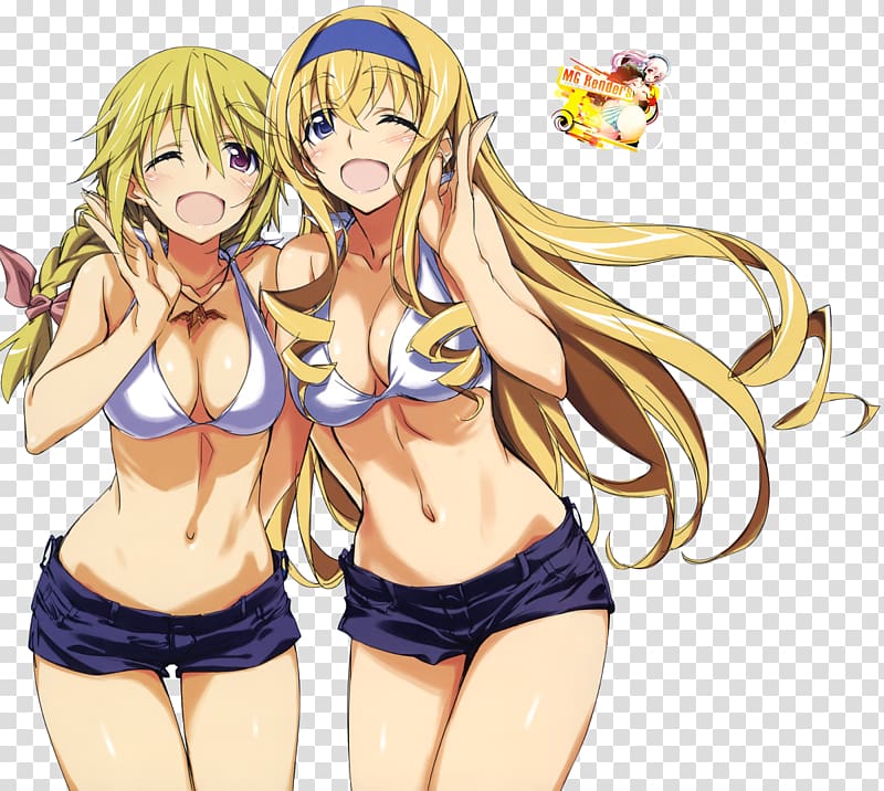 Anime Infinite Stratos Hentai Ecchi Mangaka, Anime transparent background PNG clipart Anime Infinite Stratos Hentai Ecchi Mangaka, Anime transparent background PNG clipart