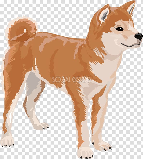 Finnish Spitz Shiba Inu Akita Canaan Dog Korean Jindo, Dog illust transparent background PNG clipart