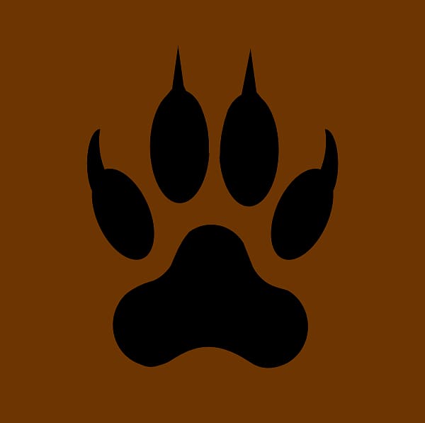 wildcat paw print stencil