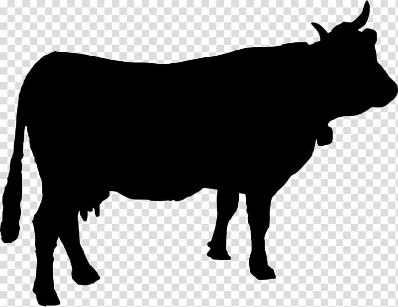 Beef cattle Highland cattle Silhouette , Silhouette transparent background PNG clipart