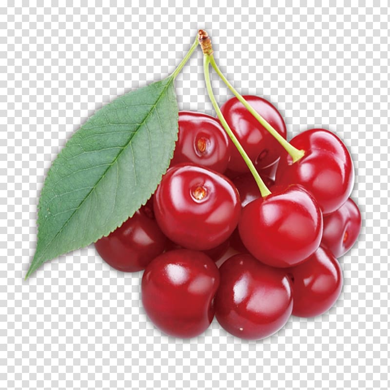 Cherry Lingonberry Auglis Cancer, Cherry transparent background PNG clipart