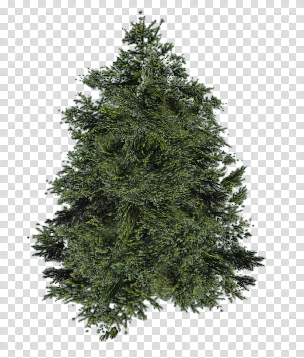 Balsam fir Artificial Christmas tree Pine Cedar, tree transparent background PNG clipart