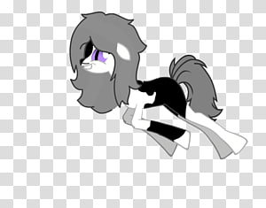 Cat Horse Pony Mammal, Cat transparent background PNG clipart thumbnail