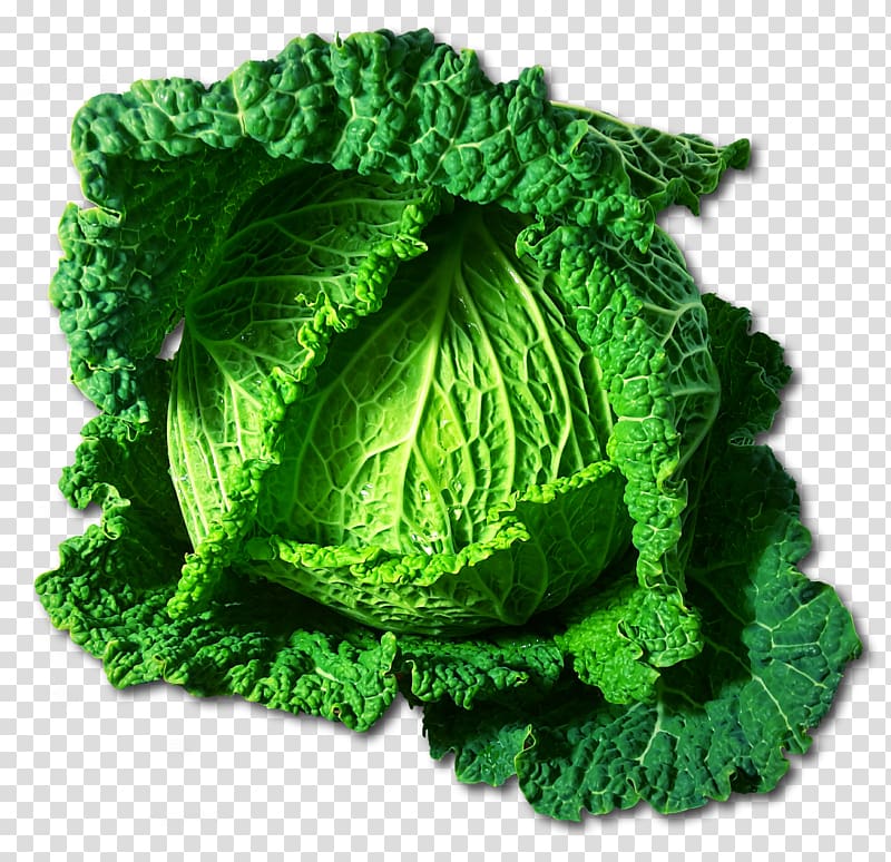 Savoy cabbage Cauliflower Brussels sprout Broccoli, cabbage transparent background PNG clipart