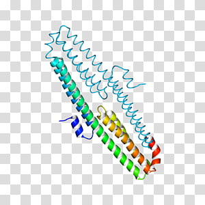 Line Point Angle, line transparent background PNG clipart thumbnail