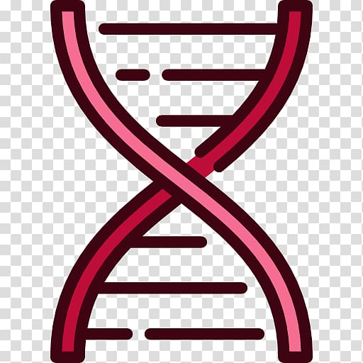 DNA Nucleic acid double helix, dna structure human transparent background PNG clipart