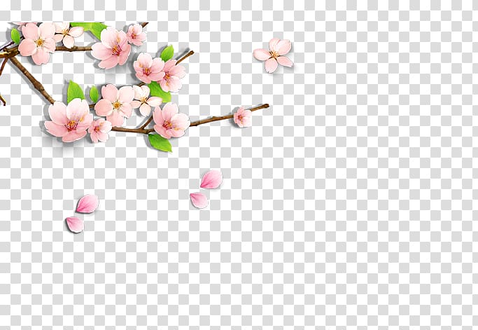 Cherry blossom , Floral decoration transparent background PNG clipart